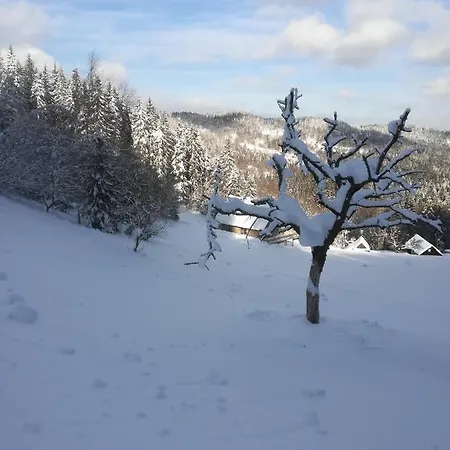 Cerenka Dağ evi *