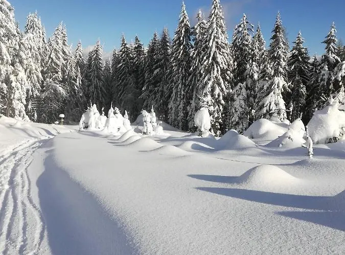 Cerenka בקתה Bytca